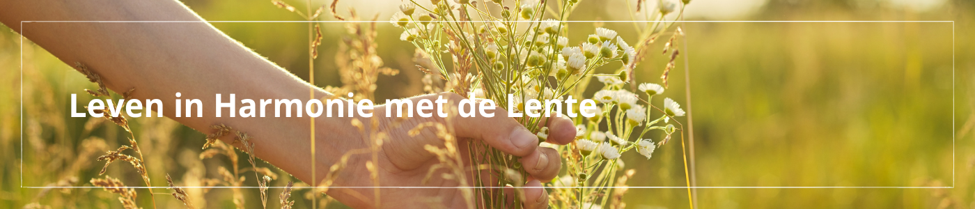 Leven in harmonie met de lente